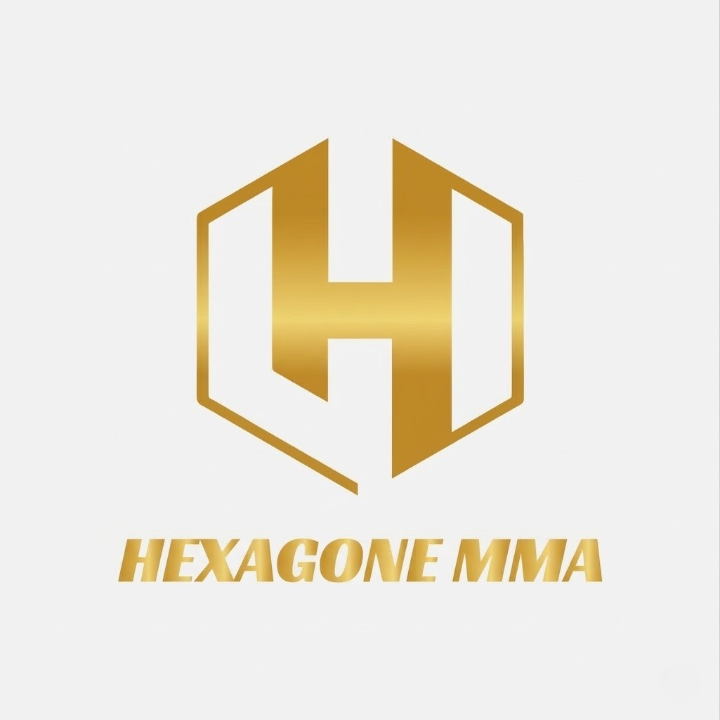 Hexagone MMA logo