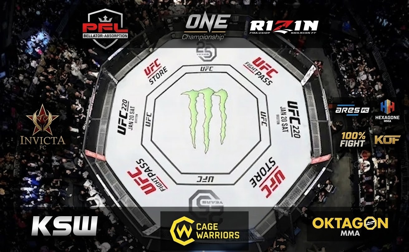 Principales organisations de MMA 2026