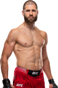 Jiří Procházka, combattant MMA