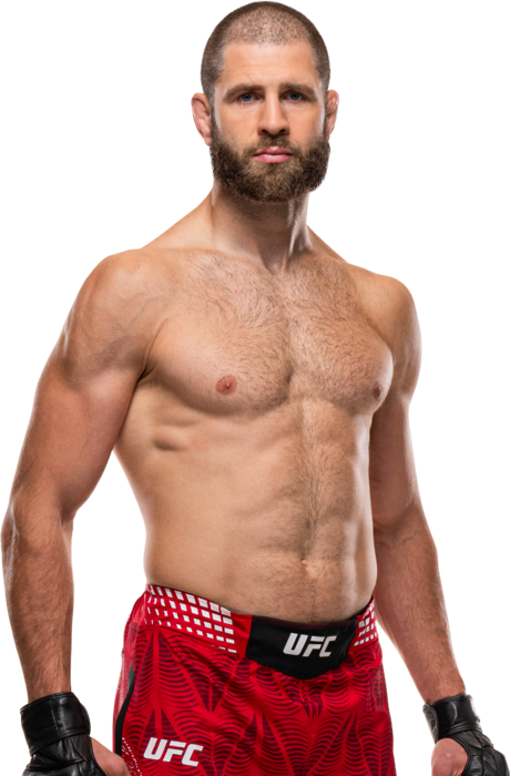 Jiří Procházka, combattant UFC